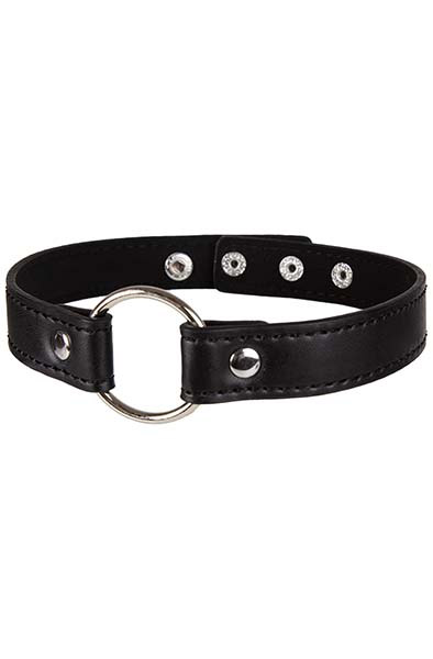 Choker Collar With Decorative Ring Black Halsband