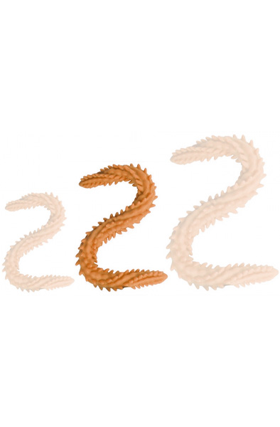 DoublePlayz Double Dildo Scolop Orange 50 cm Extra lång analdildo