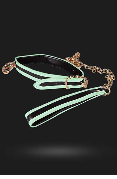 Glow-in-the-Dark Collar with Leash Panta&Talutushihna view 2
